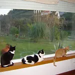 Casa Do Rio *